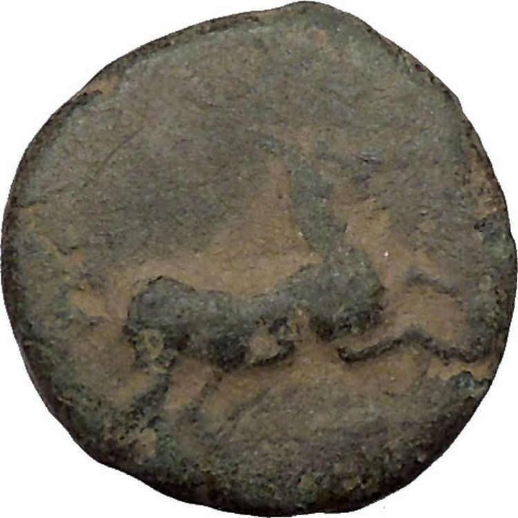 Maroneia in Thrace 400BC Original Ancient Greek Coin Horse Vine Grapes i37009