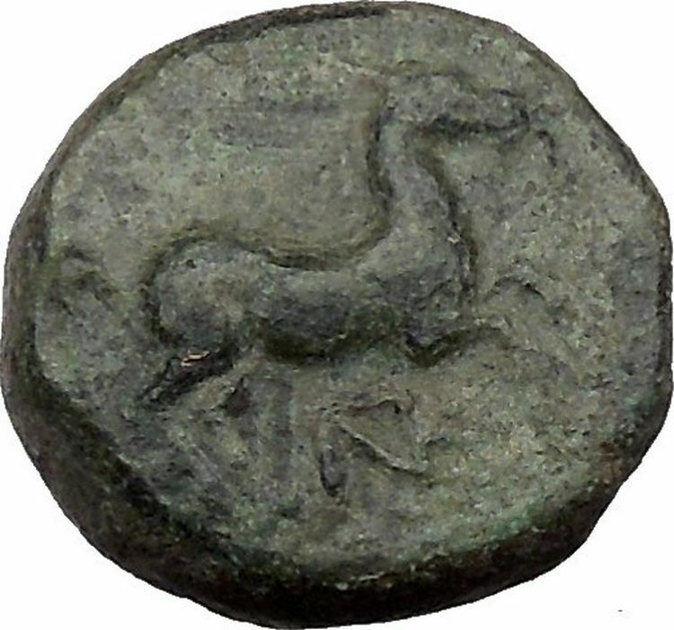 Maroneia in Thrace 400BC Original Ancient Greek Coin Horse Vine Grapes i37000