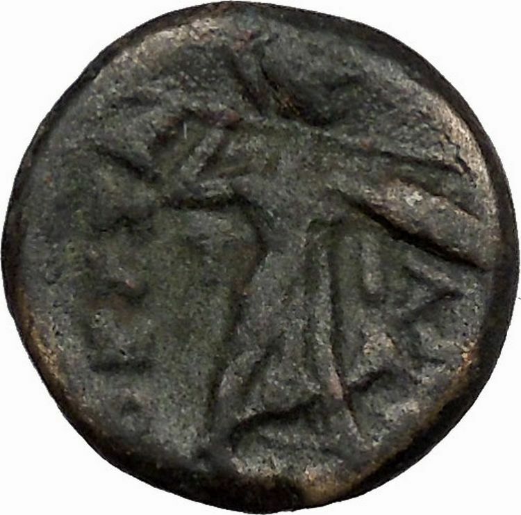 LARISSA Thessaly THESSALIAN LEAGUE 196BC Athena Apollo OWL Greek Coin i43497