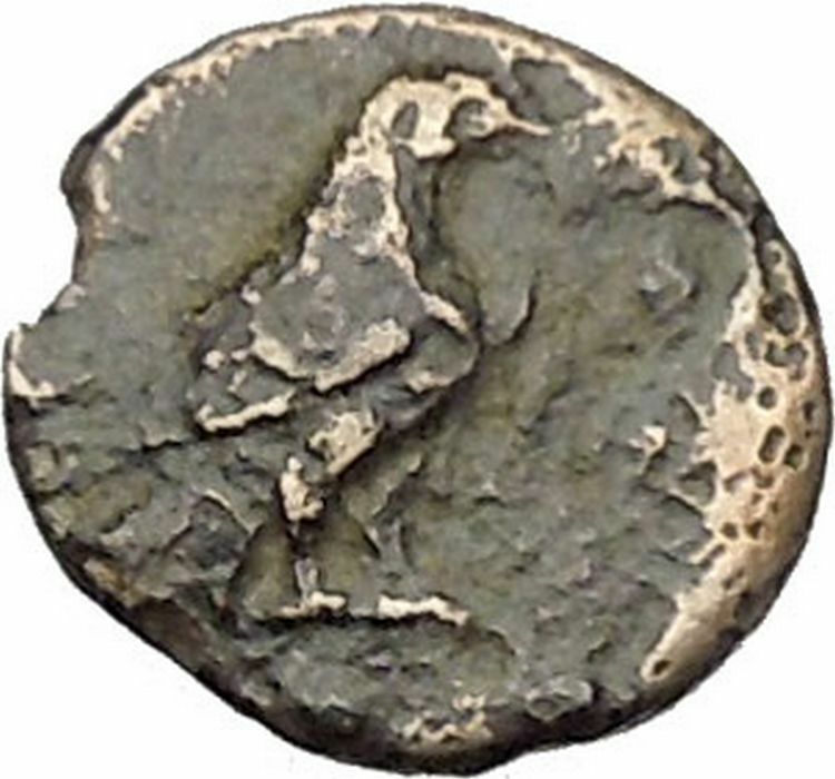 Kyme Cyme in Asia Minor 350BC Ancient Greek Coin Eagle Vase i46117