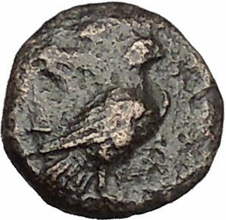 Kyme in Aeolis 350BC EAGLE & VASE on Authentic Ancient Greek Coin i48064