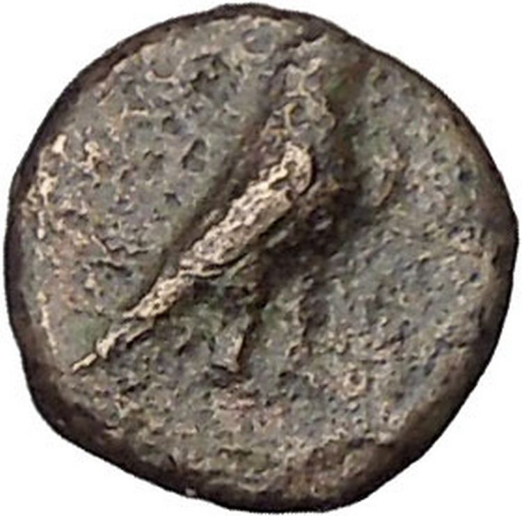 Kyme in Aeolis 350BC EAGLE & VASE on Authentic Ancient Greek Coin i48084