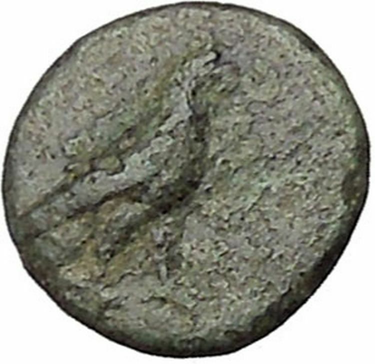 Kyme in Aeolis 350BC EAGLE & VASE on Authentic Ancient Greek Coin i48070