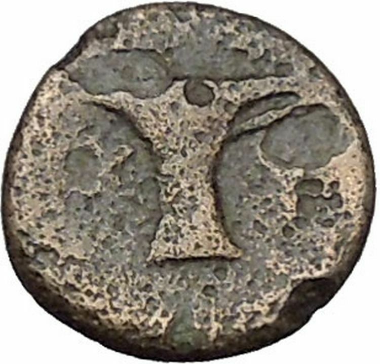 Kyme in Aeolis 350BC EAGLE & VASE on Authentic Ancient Greek Coin i48066