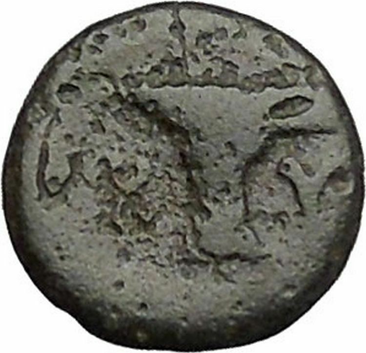 Kyme in Aeolis 350BC EAGLE & VASE on Authentic Ancient Greek Coin i48077