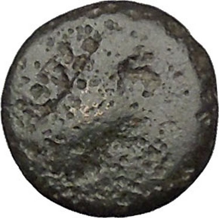 Kyme in Aeolis 350BC EAGLE & VASE on Authentic Ancient Greek Coin i48077