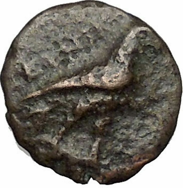 Kyme in Aeolis 350BC EAGLE & VASE on Authentic Ancient Greek Coin i48071