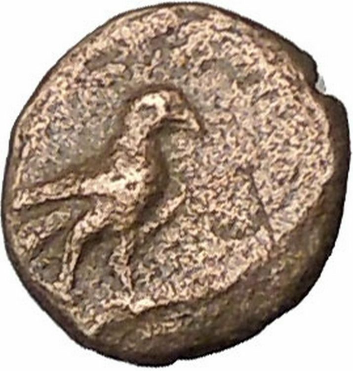 Kyme in Aeolis 350BC EAGLE & VASE on Authentic Ancient Greek Coin i48085