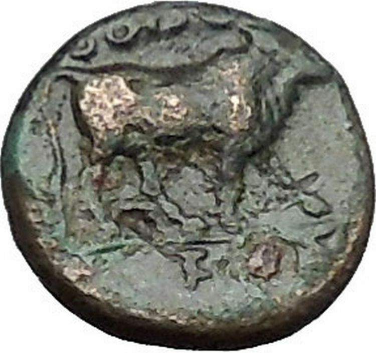 Boione in Aiolis 300BC Rare Authentic Ancient Greek Coin Female BULL i49036