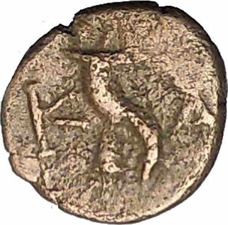 Kaunos in Caria 191BC Ancient Greek Coin Alexander the Great Cornucopia i49021