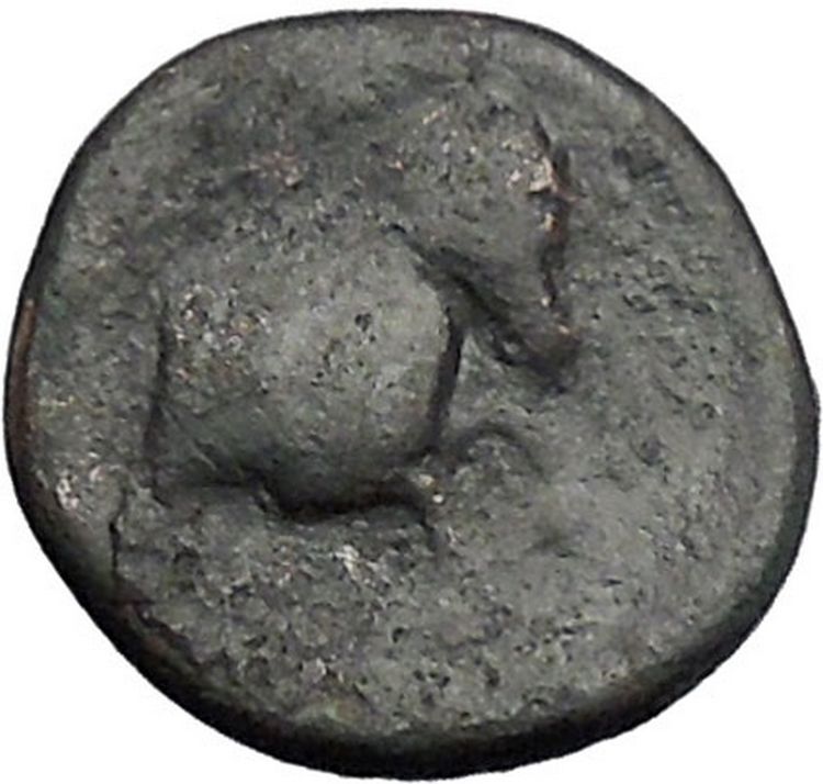 Pherai in Thessaly TYRANT Teisiphon 358BC Bull Horse Ancient Greek Coin i49344