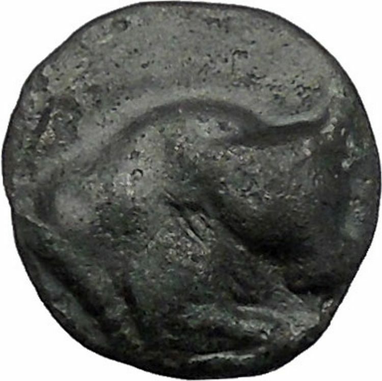 Pherai in Thessaly TYRANT Teisiphon 358BC Bull Horse Ancient Greek Coin i49345