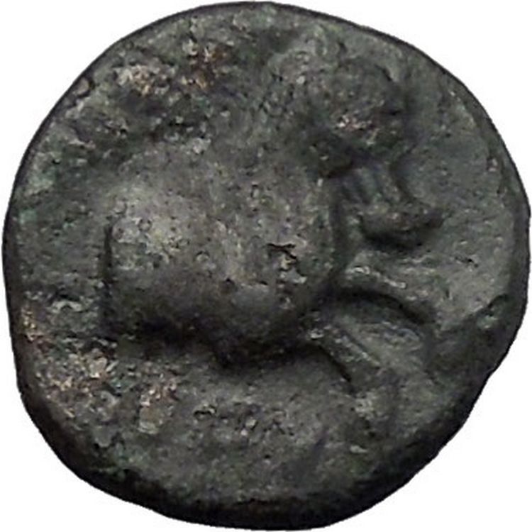 Pherai in Thessaly TYRANT Teisiphon 358BC Bull Horse Ancient Greek Coin i49345