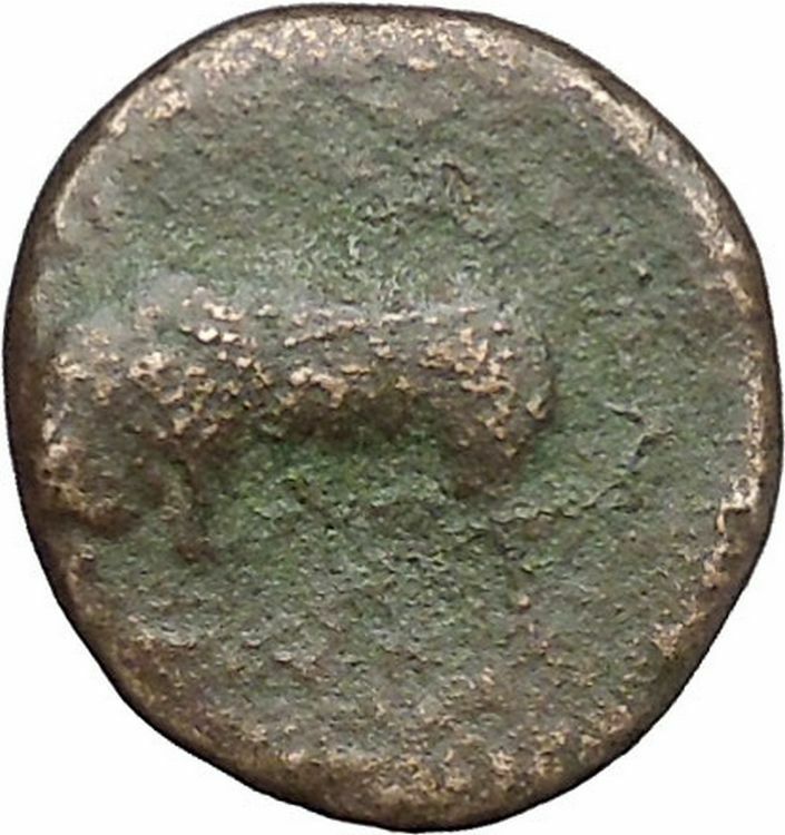 Syracuse in Sicily 317BC Agathocles Tyrant Ancient Greek Coin Bull Nymp i49794