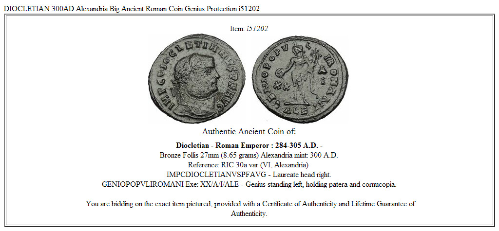 DIOCLETIAN 300AD Alexandria Big Ancient Roman Coin Genius Protection i51202