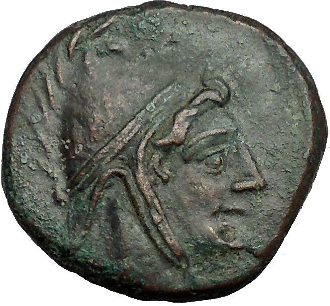 AMISOS in PONTUS MITHRADATES VI the GREAT Time Perseus Pegasus Greek Coin i52545