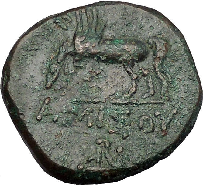 AMISOS in PONTUS MITHRADATES VI the GREAT Time Perseus Pegasus Greek Coin i52545