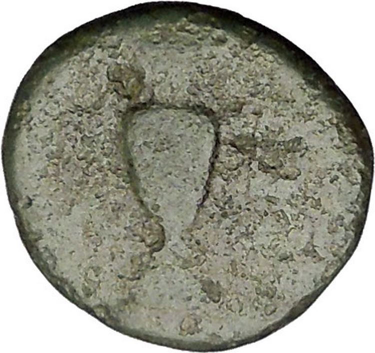 MYRINA in AEOLIS 2-1stCenBC Apollo Amphora Authentic Ancient Greek Coin i51976