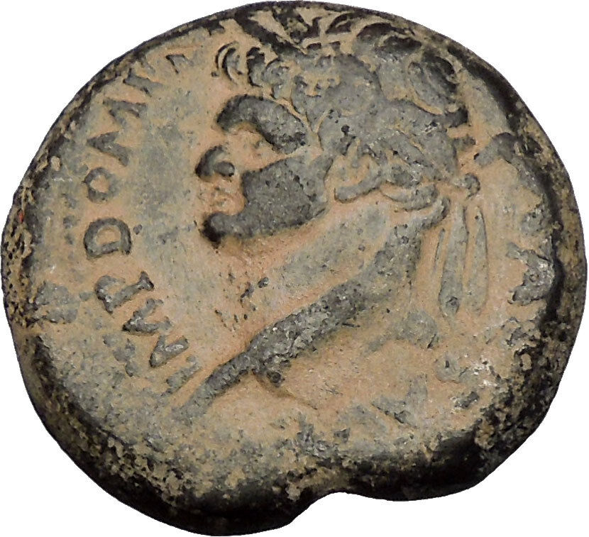 DOMITIAN 81AD Original Authentic Ancient Roman Coin Large SC of Antioch i53876