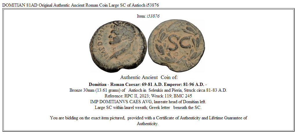 DOMITIAN 81AD Original Authentic Ancient Roman Coin Large SC of Antioch i53876