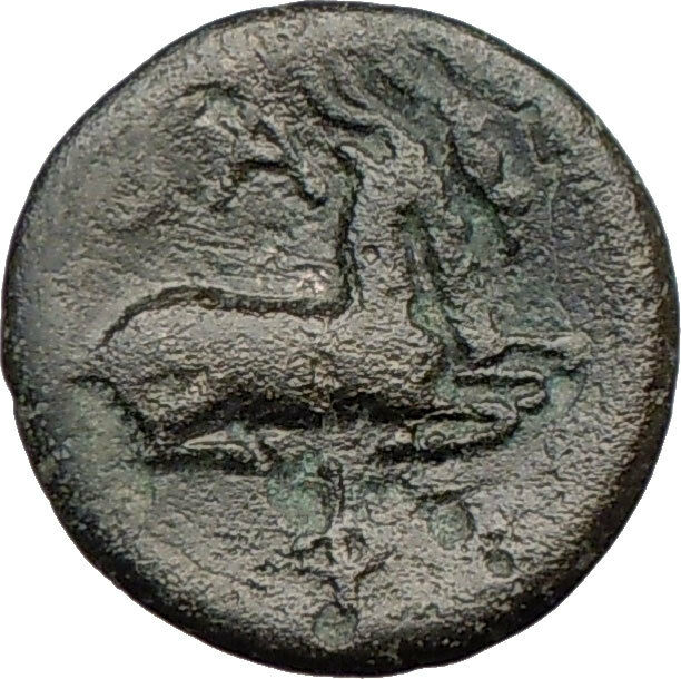 PHILIP V Macedonia King 221BC HERCULES Goats RARE R1 Ancient Greek Coin i21998