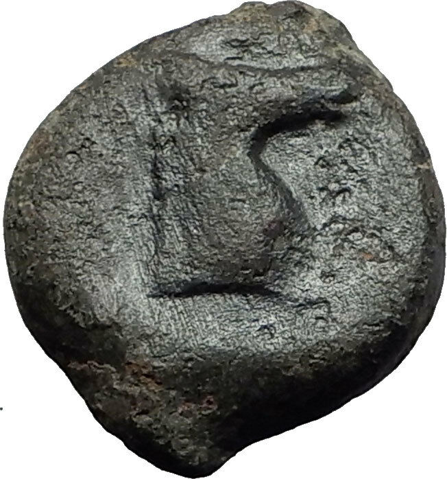 Carthage in Zeugitana 300BC Authentic Ancient Greek Coin Horse Palm tree i58445