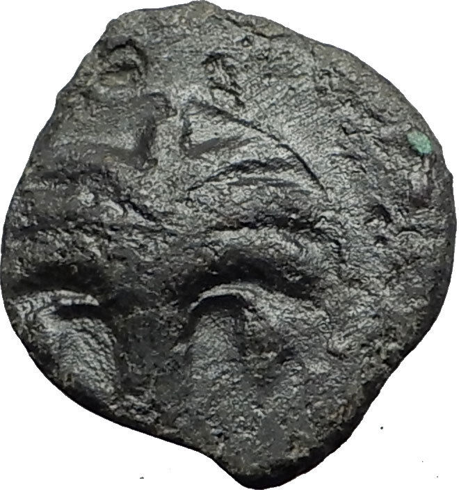 Carthage in Zeugitana 300BC Authentic Ancient Greek Coin Horse Palm tree i58445