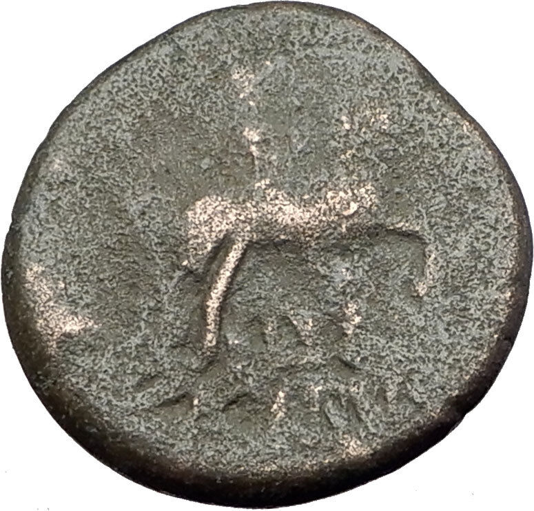 ODESSOS in THRACE 270BC Ancient Greek Coin GREAT GOD Derzelas on HORSE i61861