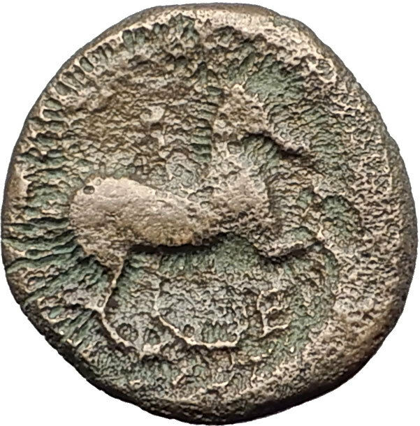 Philip II 359BC Olympic Games HORSE Race WIN Macedonia Ancient Greek Coin i62023