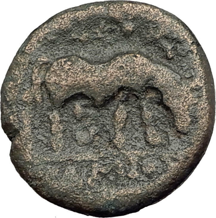 PELLA in MACEDONIA 146BC ROMAN Quaestor Ancient Greek Coin ATHENA & BULL i62432