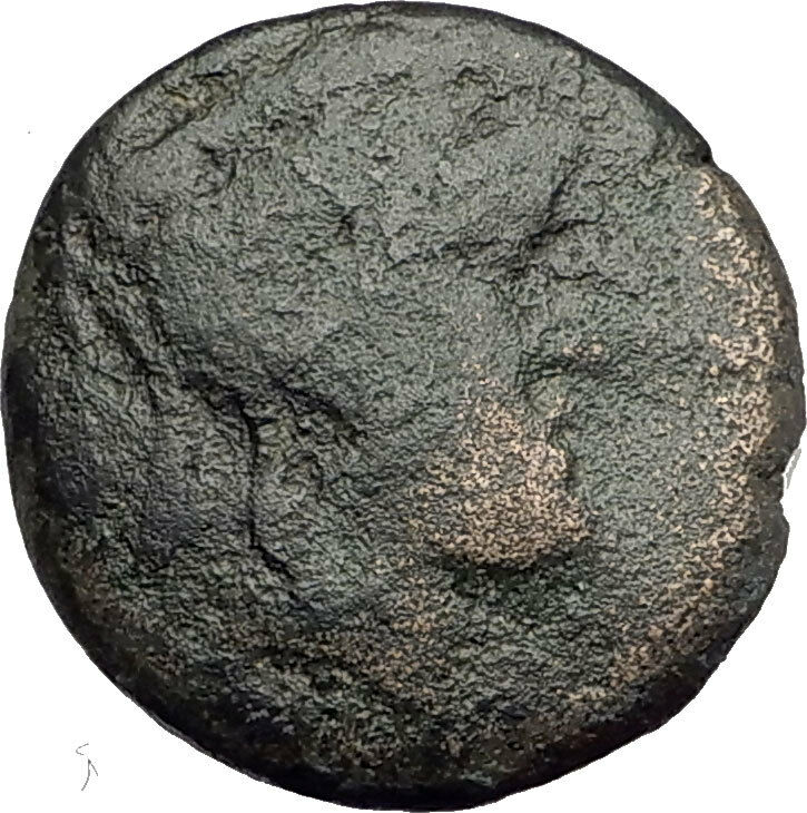 PELLA in MACEDONIA 146BC ROMAN Quaestor Ancient Greek Coin ATHENA & BULL i62432