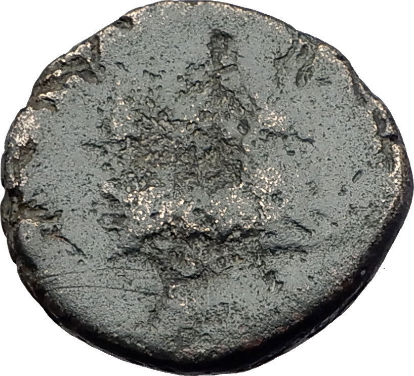 PHILIP V Macedonia King 221BC RARE R1 Ancient Greek Coin HERCULES GOATS i63157