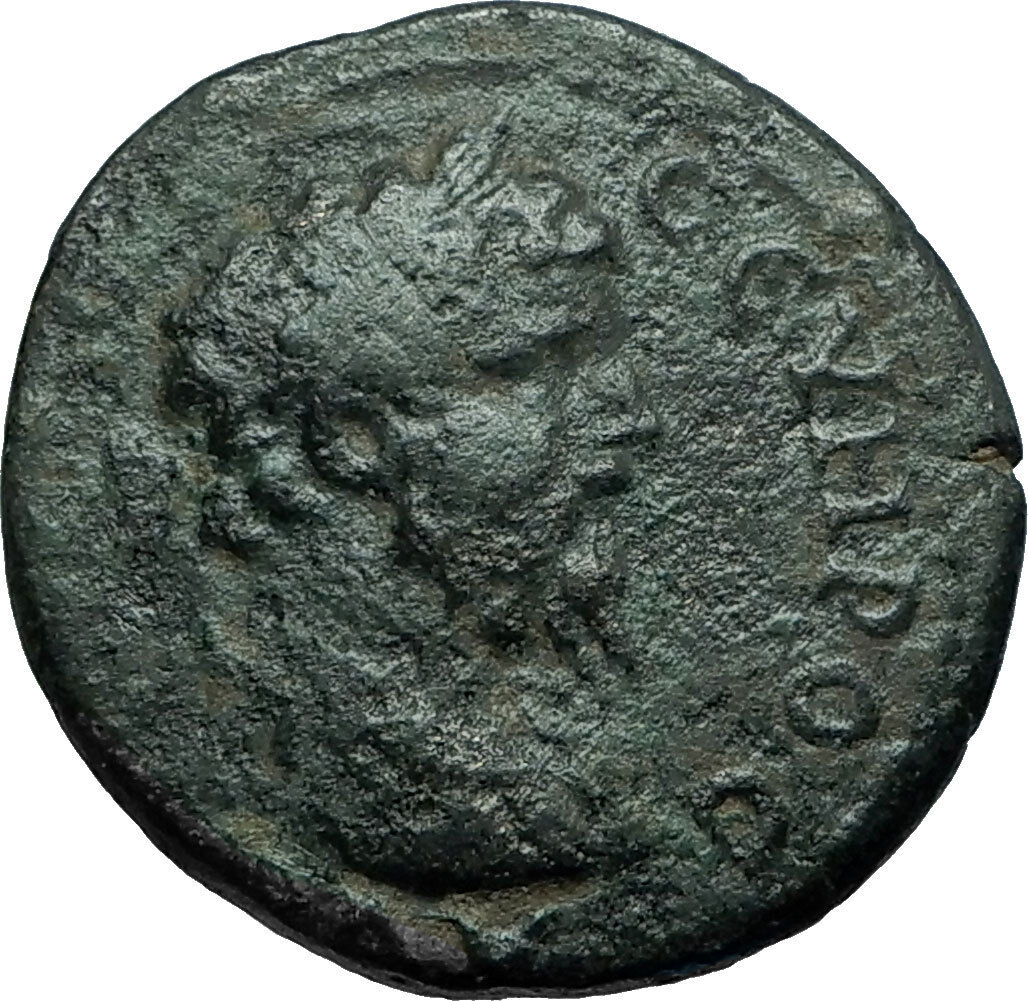 SEPTIMIUS SEVERUS 193AD Thessalonica Macedonia Ancient Roman Coin NIKE i66237