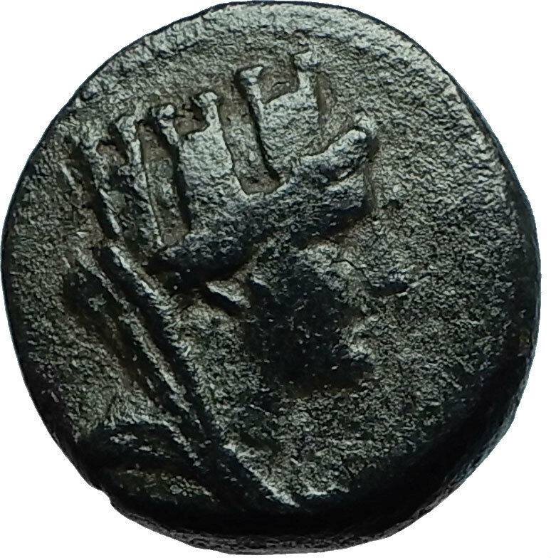 APAMEIA Seleukis Ancient 14AD Authentic Ancient Greek Coin - TYCHE ATHENA i66510