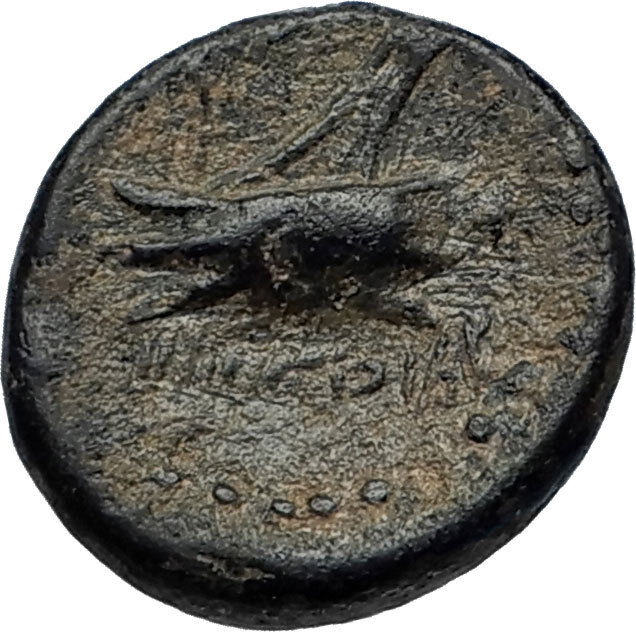 ARADOS in PHOENICIA Authentic Ancient 206BC Greek Coin w ZEUS & GALLEY i67491