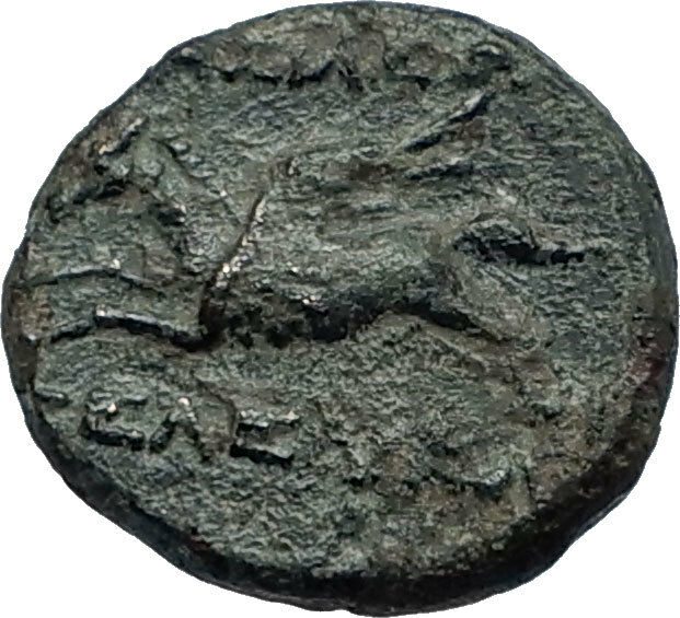 SELEUKOS II Kallinikos 246BC RARE R1 Ancient SELEUKID Greek Coin PEGASUS i68006