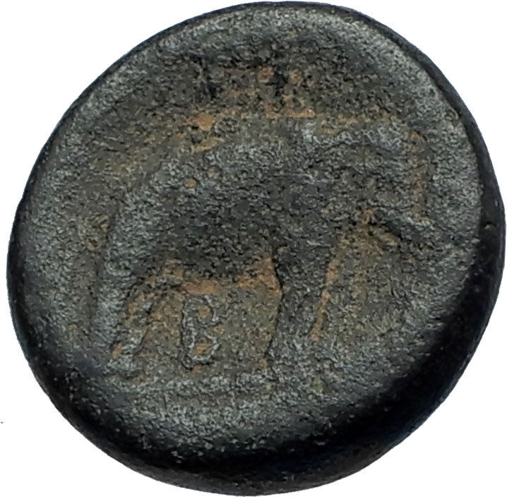 SELEUKOS I Nikator Ancient 296BC Seleukid Greek Coin w Athena & Elephant i68050