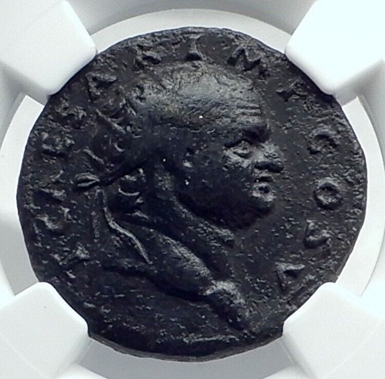 TITUS as Caesar Vespasian 76AD Rome Dupondius Ancient Roman Coin NGC i77646