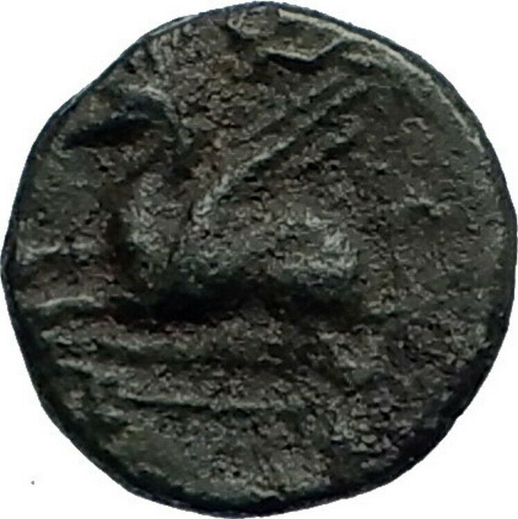 ASSOS in TROAS 300BC Original Authentic Ancient Greek Coin ATHENA GRIFFIN i77136