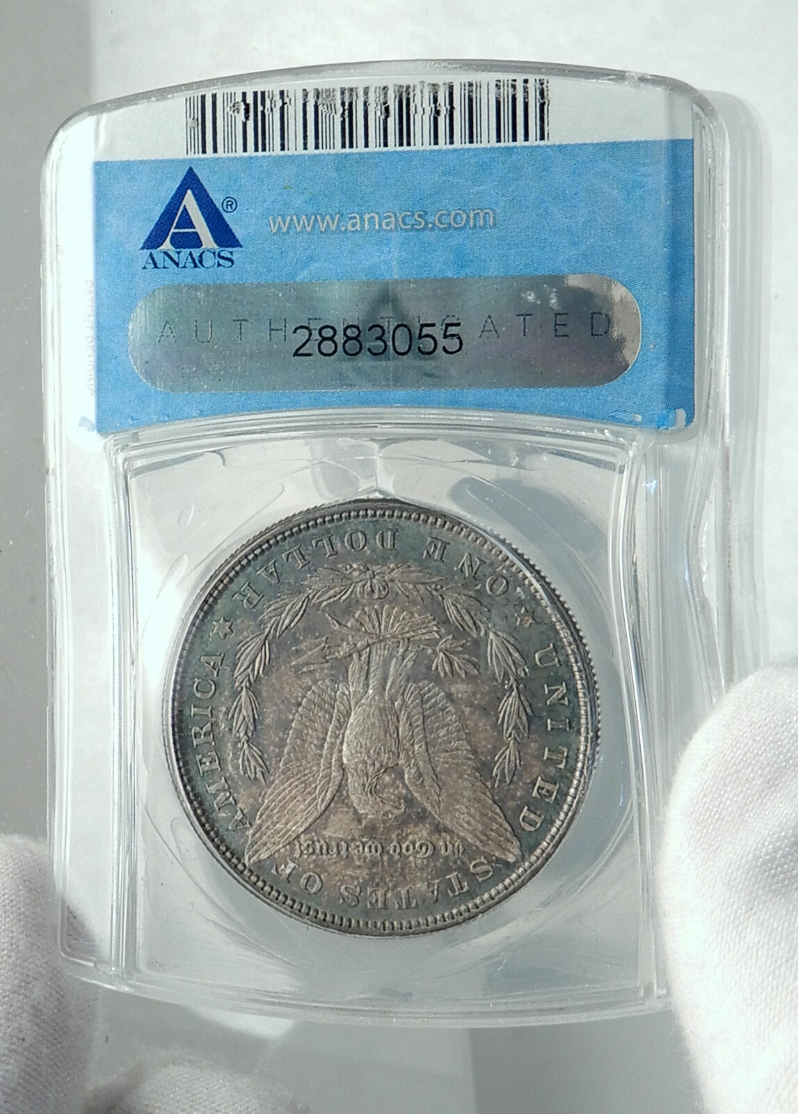 1879 UNITED STATES of America SILVER Morgan US Dollar Coin EAGLE ANACS MS i78880