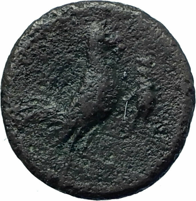 TYNDARIS in SICILY Rare R1 Authentic Ancient Greek Coin APOLLO ROOSTER i78414