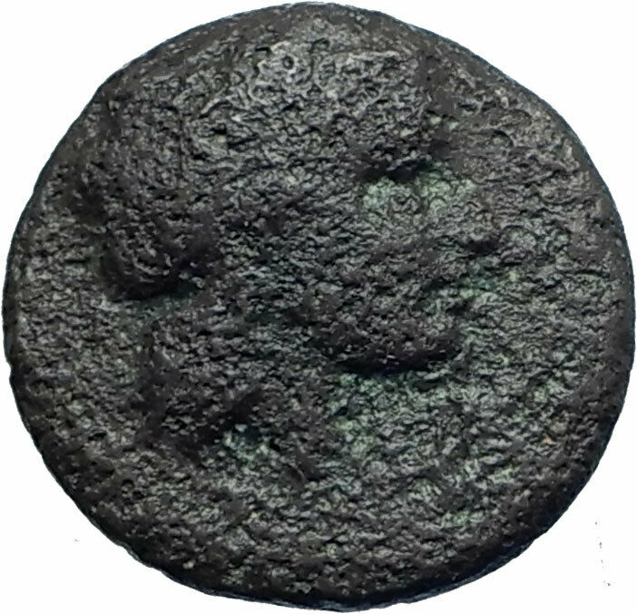 TYNDARIS in SICILY Rare R1 Authentic Ancient Greek Coin APOLLO ROOSTER i78414