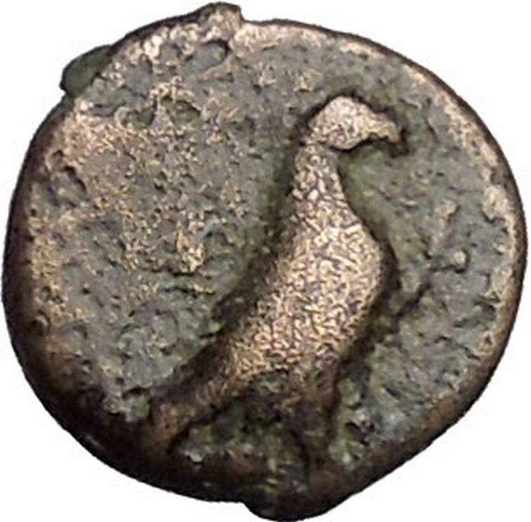 Kyme in Aeolis 350BC EAGLE & VASE on Authentic Ancient Greek Coin i48076