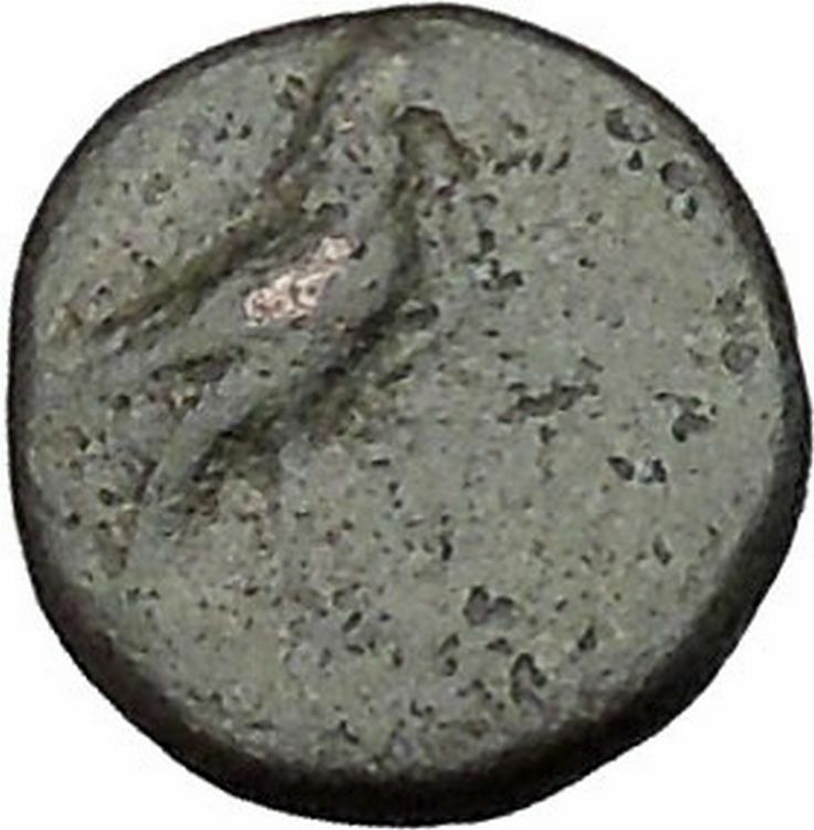 Kyme in Aeolis 350BC EAGLE & VASE on Authentic Ancient Greek Coin i48060