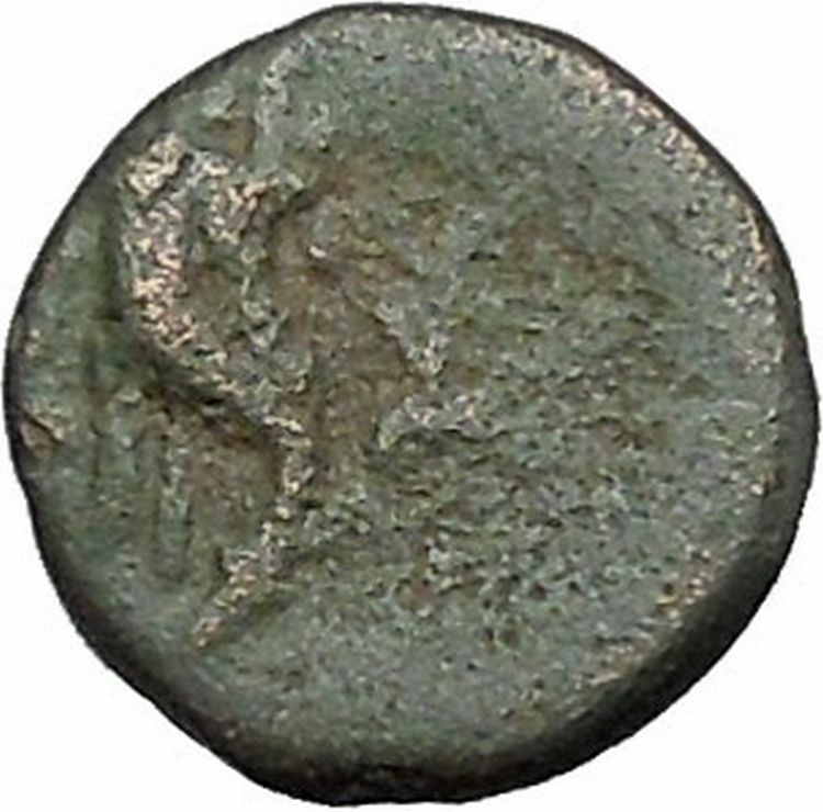 Kaunos in Caria 191BC Ancient Greek Coin Alexander the Great Cornucopia i49020