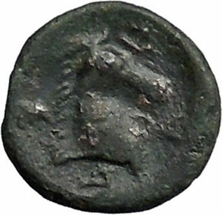 PHARSALOS in THESSALY 400BC Athena Horse Authentic Ancient Greek Coin i49216