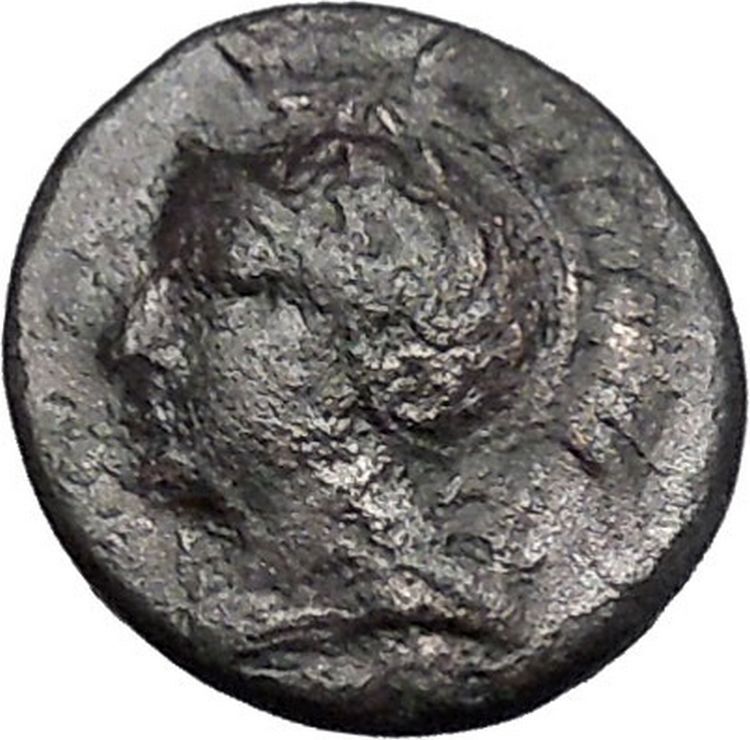 Pharsalos in Thessaly 400BC Athena Horseman Skylla Ancient Greek Coin i49249