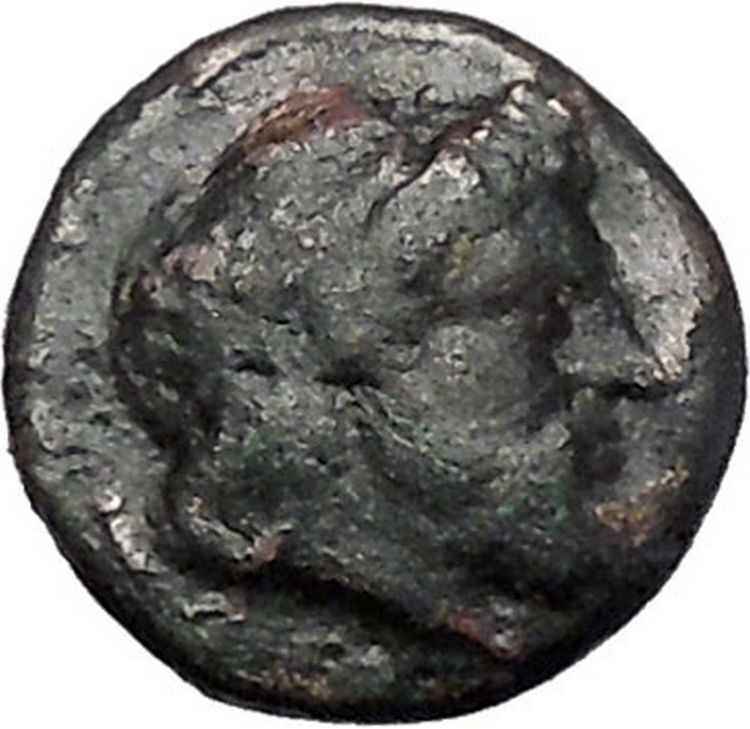 HALOS in THESSALY 302BC Zeus Phrixus on GOLDEN Ram RARE Greek Coin i49228