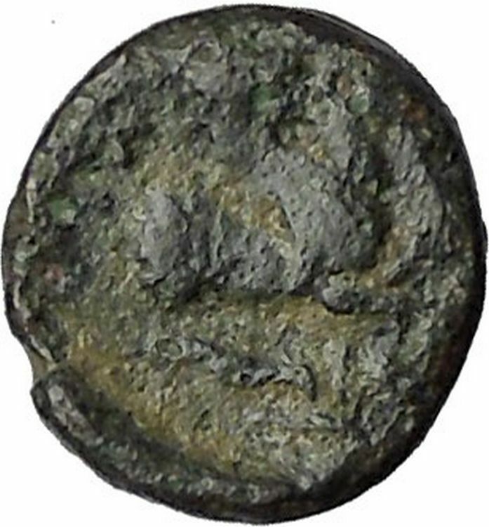 Lampsakos in Mysia 400BC Rare Ancient Greek Coin Female head Pegasus i50556