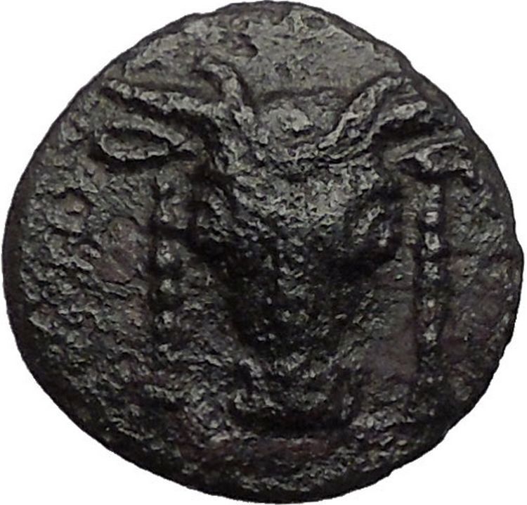 ELATEIA in PHOKIS Greece PHOKIAN LEAGUE Apollo Bull Ancient Greek Coin i56223